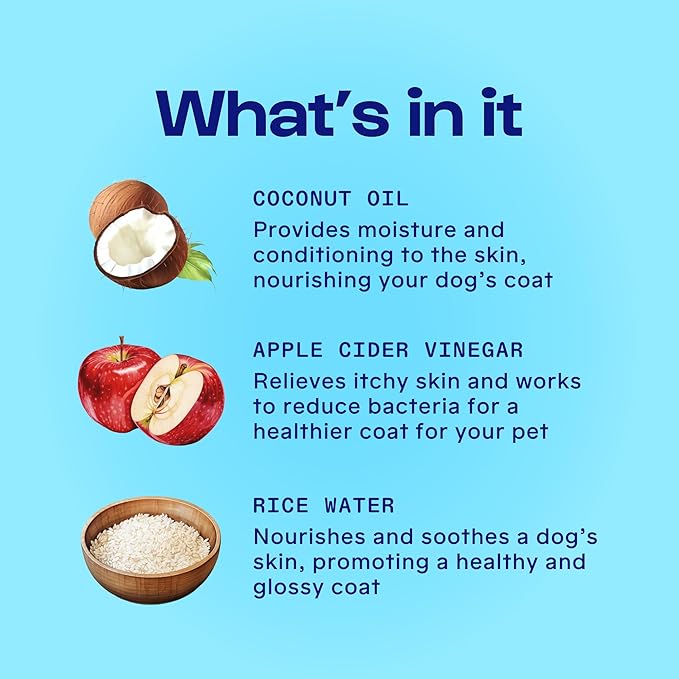 Dirty Dog Beauty Club - Puppy Party Shampoo & Conditioner for Pets - Gentle Formula, Organic Essential Oils, Vet & Scientist Formulated, Vegan, Paraben Free, Hypoallergenic -300 ml (10 oz), Unscented