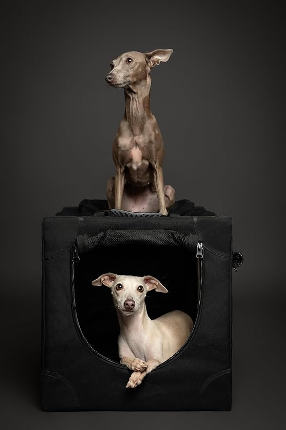 Noah & Paw Collapsible Dog Crate 26 Inch, Small Dog Crate for Small Medium Breeds, Travel Kennel for Car, Including Pet Mat for Pet Cage, 2 Storage Pockets, Handbag, 10mm Locking Zipper 26 * 17 * 17