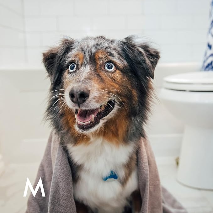 Lavender Pet Shampoo Bar for Dogs – Adult, Dog, Puppies Shampoo for Allergies, Itching Sensitive Coats – Plant-Based, Essential Oils, Shea Butter, Coconut Oil by Manos Soap Co. – 4.5 oz Bar