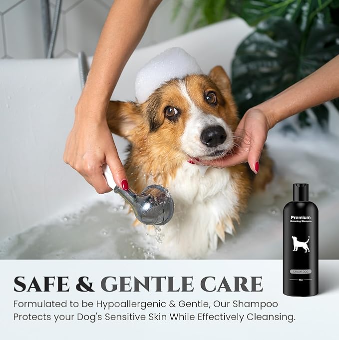 605Products Premium Dog Shampoo - Gentle Formula for Itchy & Sensitive Skin, Odor Eliminator for Puppies, Natural Deodorizer for Pets (10oz)- Show Dog