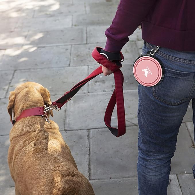 Collapsible Dog Bowls for Travel, 2-Pack Dog Portable Water Bowl for Dogs Cats Pet Foldable Feeding Watering Dish for Traveling Camping Walking with 2 Carabiners, BPA Free