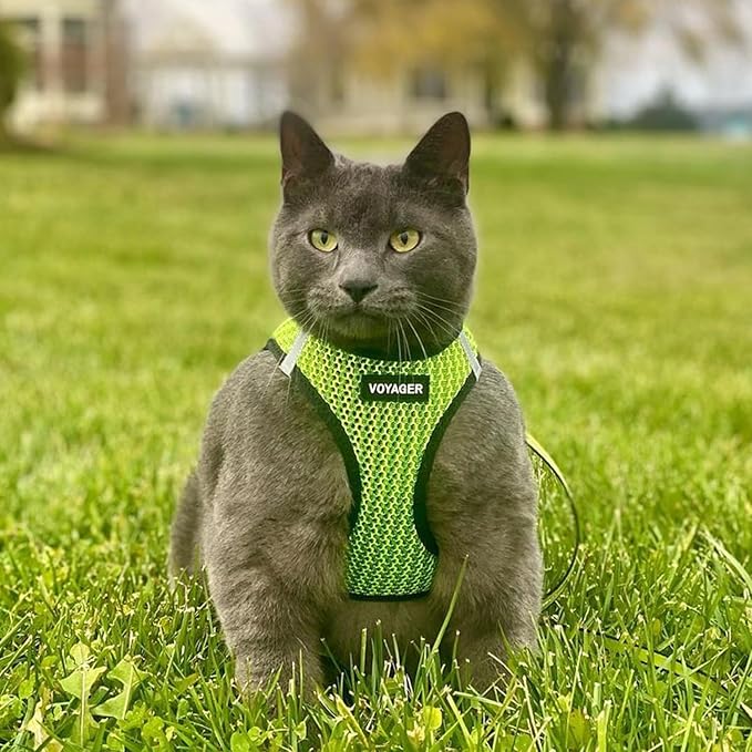 Voyager Step-in Air Dog Harness - All Weather Mesh, Reflective, No Pull Harness for Small, Medium Dogs, Cats - Secure with Hook & Loop Fastener, Buckle, Double D-Rings - Lime Green 2-Tone, S