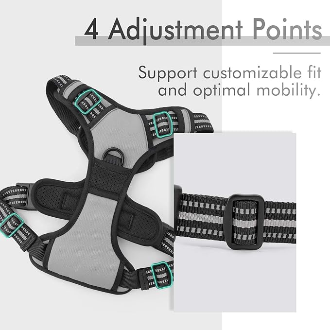 rabbitgoo Dog Harness, No-Pull Pet Harness with 2 Leash Clips, Adjustable Soft Padded Dog Vest, Reflective No-Choke Pet Oxford Vest with Easy Control Handle for Large Dogs, Grey, L