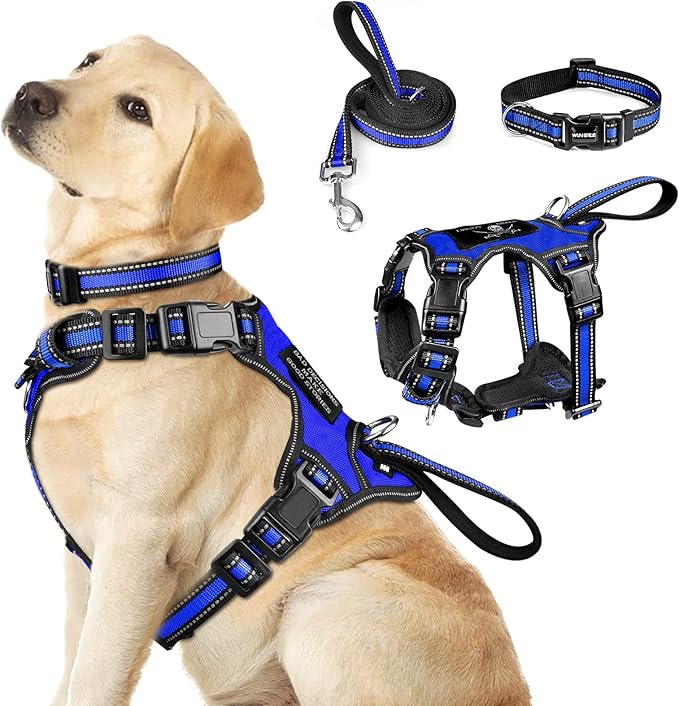 WINSEE Pet Harness Collar and Leash Set, All-in-one Reflective Dog Harness No Pull with Adjustable Buckles for Puppies, Small, Medium, Large, and Extra-Large Dogs (Large, Dark Blue)