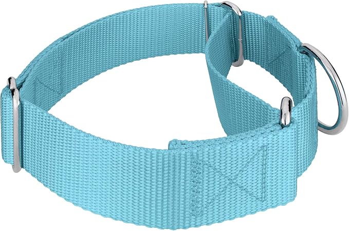 Country Brook Petz 1 1/2 Inch Martingale Heavy Duty Nylon Adjustable Dog Collar for Small, Medium, Large Breeds - Vibrant 17 Color Selection (Ocean Blue, Extra Large)