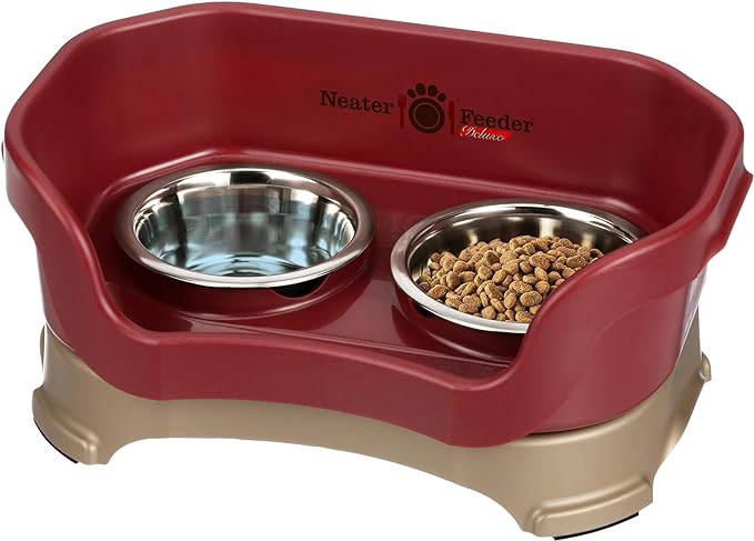 Neater Feeder Deluxe Mess Proof Dog Bowls Elevated for Small Breed – Made in USA – No Spill Raised Dog Food Bowl Stand – Stainless Steel Food and Water Bowl Set, Pet Feeding Station, Cranberry