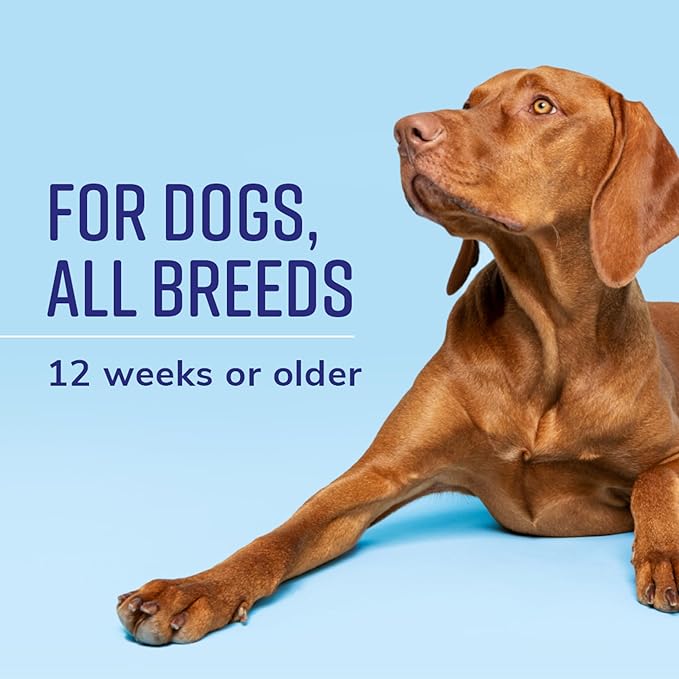 Naturel Promise Fresh & Soothing Odor Control Refreshing Shampoo for Pets, 22oz (Pack of 3)