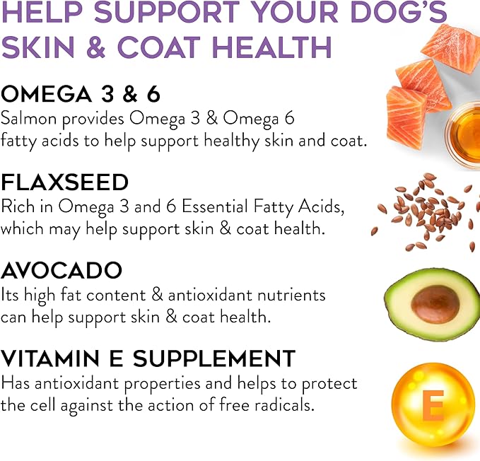 DOGSWELL Skin & Coat Soft & Chewy Dog Treats, Salmon, 14 oz. Pouch