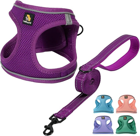 BELLA & PAL Puppy Harness with Leash Set, Dog Harness for Small Dogs No Pull, Dog Leash for Small Dogs, Step in Harness for Extra Small Dogs, Deep Purple Harness, L