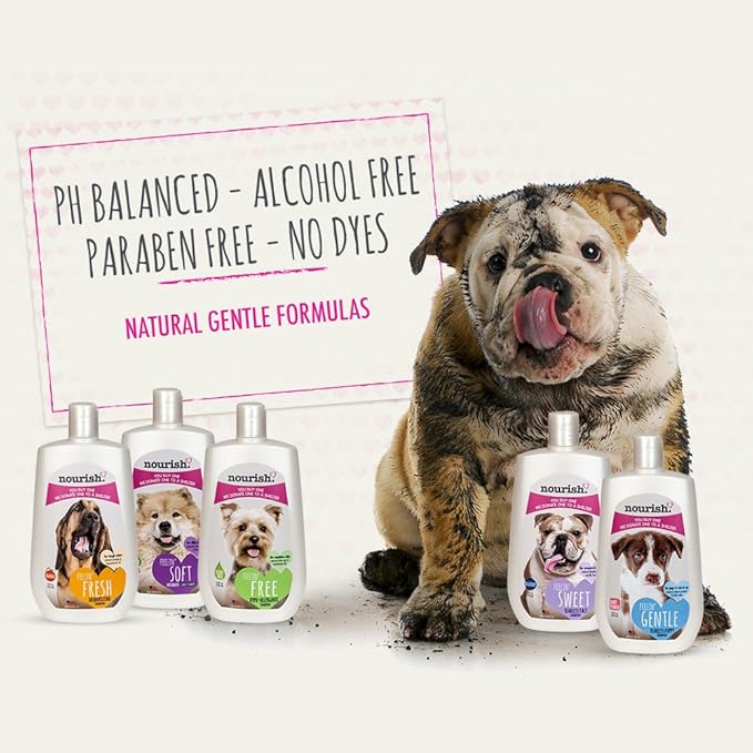 Nourish Shed Control Dog Shampoo, Natural Coconut Verbena 16 oz - You Buy 1, We Donate 1 to a Shelter, Made in USA, PH Balanced