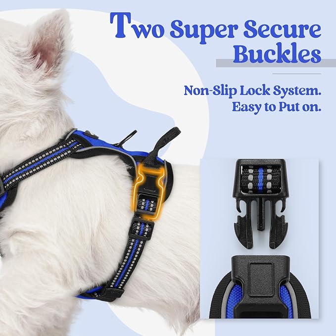 rabbitgoo Dog Harness, No-Pull Pet Harness with 2 Leash Clips, Adjustable Soft Padded Dog Vest, Reflective No-Choke Pet Oxford Vest with Easy Control Handle for Small Dogs, Dazzling Blue,XS