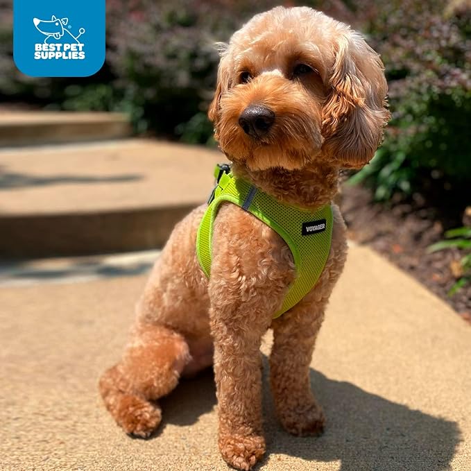 Voyager Step-in Air Dog Harness - All Weather Mesh, Reflective, No Pull Harness for Small, Medium Dogs, Cats - Secure with Hook & Loop Fastener, Buckle, Double D-Rings - Lime Green, XL