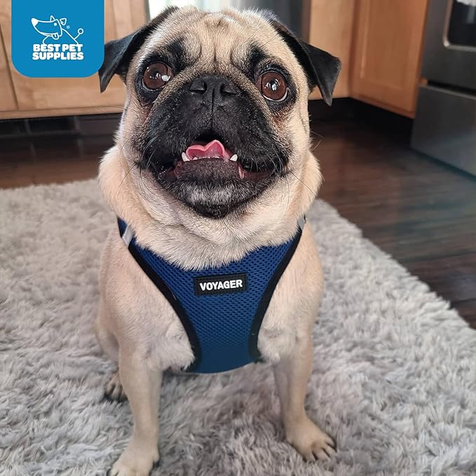 Voyager Step-in Air Dog Harness - All Weather Mesh, Reflective, No Pull Harness for Small, Medium Dogs, Cats - Secure with Hook & Loop Fastener, Buckle, Double D-Rings - Royal Blue/Black Trim, L