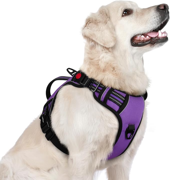 rabbitgoo Dog Harness for Large Dogs, No Pull Pet Harness with Soft Padded Handle, Adjustable Reflective Vest with 3 Buckles, Easy Walking Harness with 2 Leash Clips, Purple, L