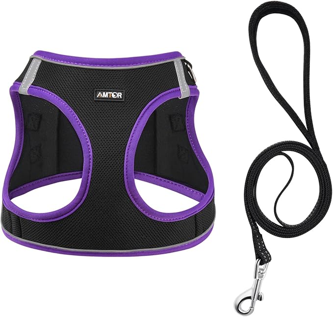AMTOR Small Dog Harness with Leash Set, No Escape Easy Walk Puppy Harnesses for Training Walking, Step-in Reflective Soft Dogs Vest for XS S Medium Extra-Small Large Sized Dog(Black/Purple)