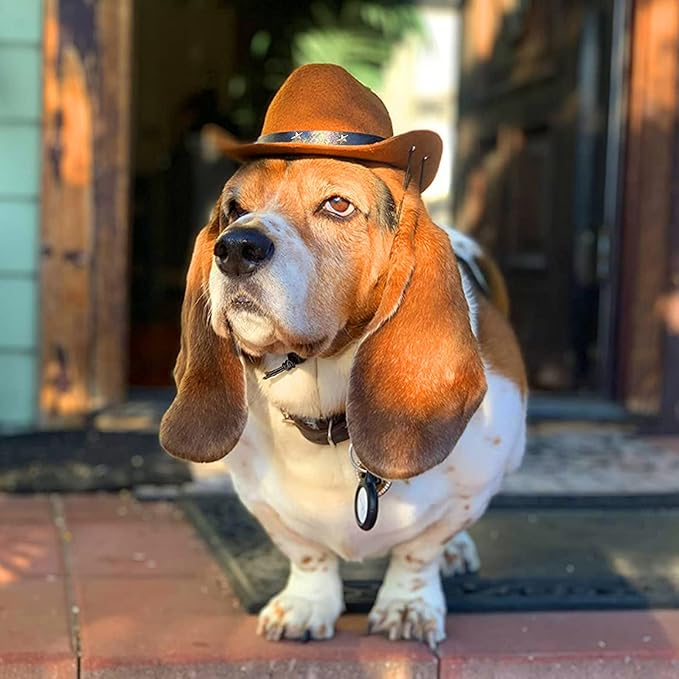Pet Dog Cowboy Hat Cosplay Cap Puppy Pet Dog Cat Holiday Costume Pet Party Decoration