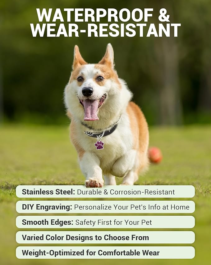 72 Pcs Dog Tags Personalized for Pets Glitter Paw Print Stainless Steel Dog Tag Cute Dog Name Tag Bulk Dog Tags Cat Tags for Wholesale （12 Colors）