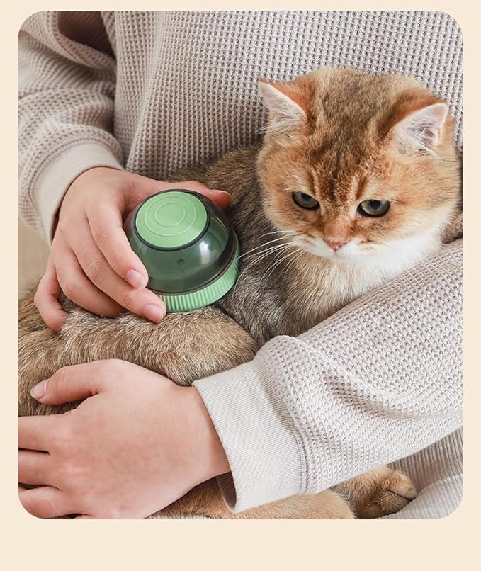 GERGOL - Dog Cat Bath Brush Comb Silicone Rubber Dog Grooming Brush Silicone Puppy Massage Brush Hair Fur Grooming Cleaning Brush Soft Shampoo Dispenser with release button 2 Replaceable Brush (Green)