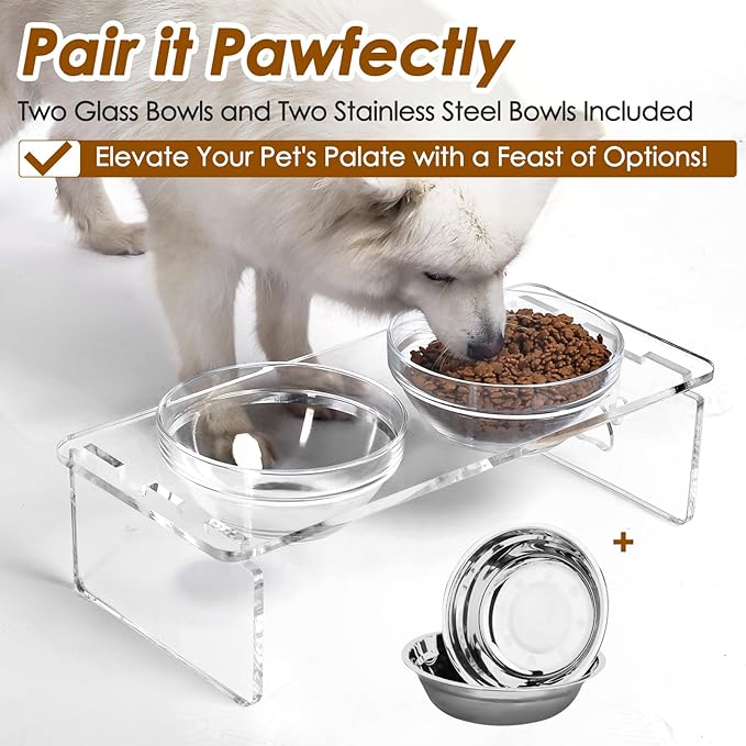 Dog and Cat Bowls Elevated Set - Acrylic Feeder Stand with 2 Set Removable Stainless Steel and Glass Bowls Food and Water Raised Dishes for Medium Dogs,5.5 inches