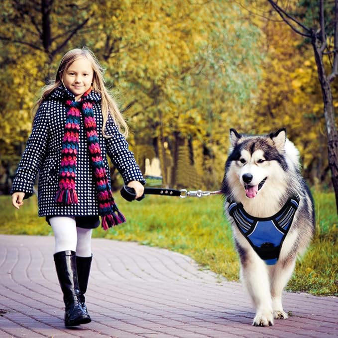 rabbitgoo Dog Harness, No-Pull Pet Harness with 2 Leash Clips, Adjustable Soft Padded Dog Vest, Reflective No-Choke Pet Oxford Vest with Easy Control Handle for Large Dogs, Dazzling Blue, L