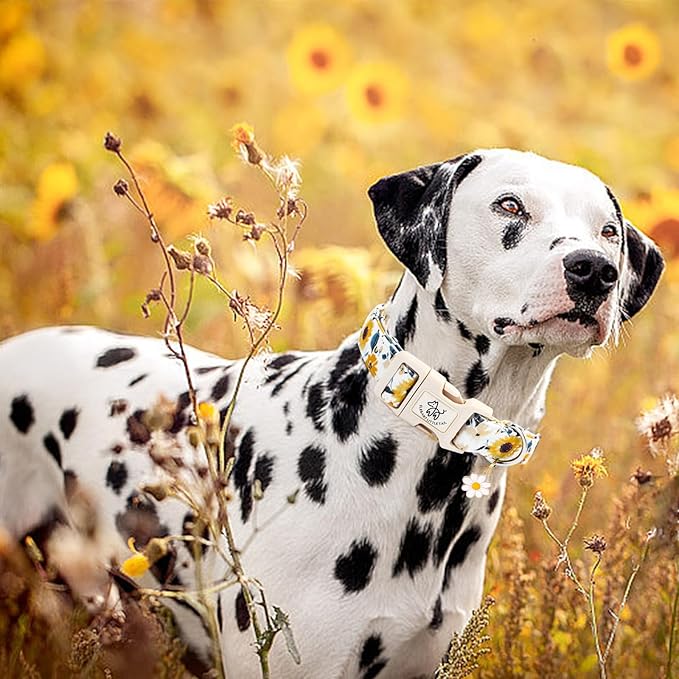 Elegant little tail Dog Collar, Sunflower Pattern Pet Collar Cute Durable Spring Female or Male Adjustable Cotton Pet Collar with Quick Release Buckle for Large Dogs