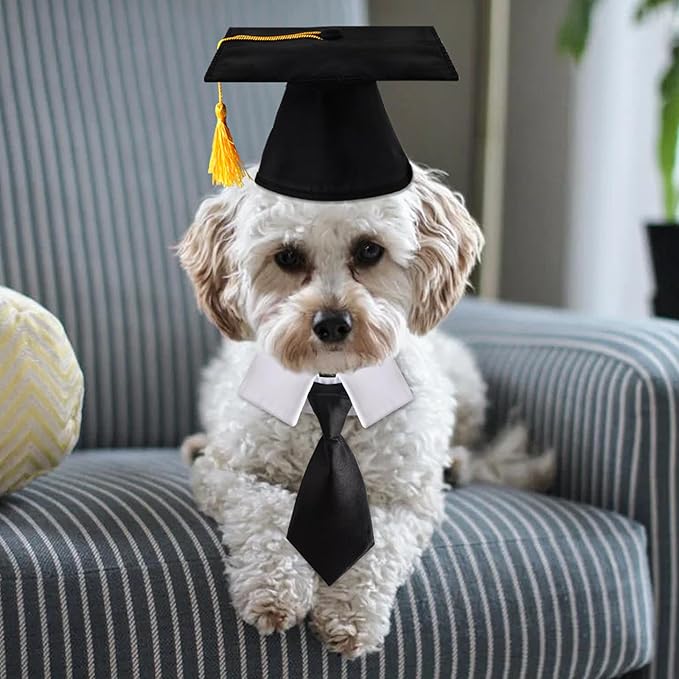FOIMAS Dog Graduation Hats,Pet Graduation Caps Adjustable with Yellow Tassel and Necktie Collar for Dog Cat Graduation Hats Costume Accessory