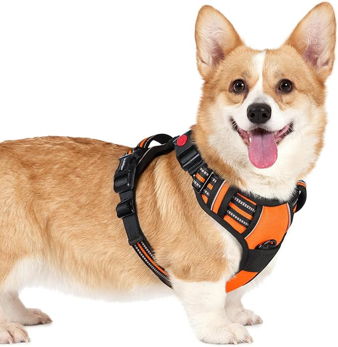 rabbitgoo Dog Harness Small Sized, No Pull Pet Harness with 3 Buckles, Adjustable Soft Padded Dog Vest with Instant Control Handle, Easy Walking Reflective Pet Vest for Small Dogs, Orange, S