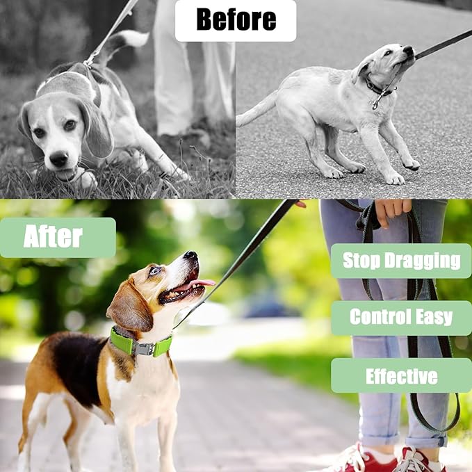 Prong Training Collar for Dogs, Adjustable Dog Pinch Collar with Quick Release Buckle, No Pull Collar for Small Medium Large Dogs, Extra Link and Caps (S (14-17" Neck, 2.25mm), Green)