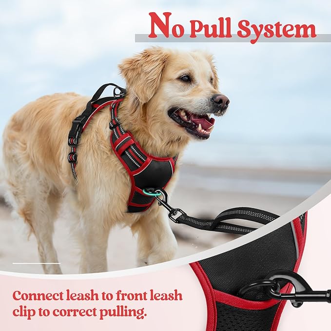 rabbitgoo Dog Harness, No-Pull Pet Harness with 2 Leash Clips, Adjustable Soft Padded Dog Vest, Reflective No-Choke Pet Oxford Vest with Easy Control Handle for Large Dogs, Black & Red, M