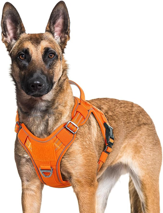 rabbitgoo Dog Harness for Large Dogs No Pull, Tactical Service Dog Vest with Molle and Control Handle, Adjustable and Reflective Military Pet Harness for Easy Walking and Training, Orange, XL
