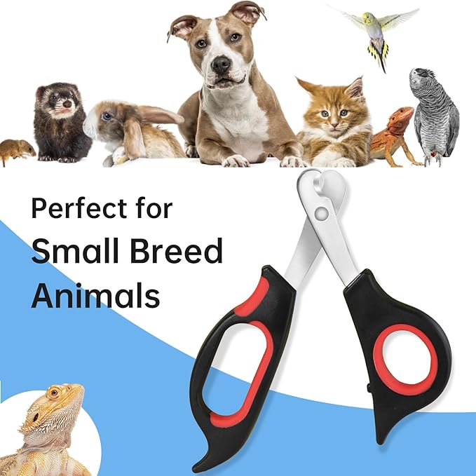 Bearded Dragon Nail Clippers,Stainless Steel Bearded Dragon Toe Nail Clippers with Precise Angled Edges (Reddish Black)