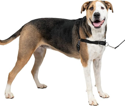 PetSafe Easy Walk No-Pull Dog Harness - The Ultimate Harness to Help Stop Pulling - Take Control & Teach Better Leash Manners - Helps Prevent Pets Pulling on Walks, X-Large, Charcoal/Black
