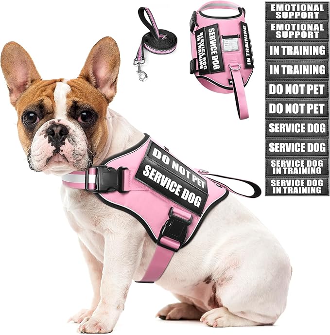 Service Dog Harness and Leash Set, Training Dog Vest with 10 Dog Patches, Emotional Support Therapy Dog Vest Harness for Small Medium Large and Extra Large Dogs(Pink, M)