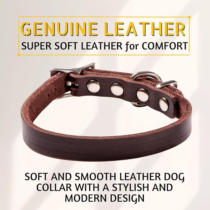 Adityna - Leather Dog Collar for Extra-Small Dogs and Puppies - Classic Style, Soft and Strong, Heavy Duty Leather Dog Collars for XSmall Dogs (XS - Neck: 10-13 inches, Brown)