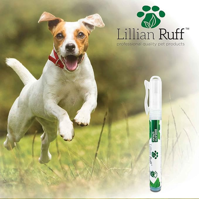 Lillian Ruff Travel Kit for Dogs | Dog Grooming Spray for Airline Travel, Dog Camping, Dog Beach | Deodorizing Waterless Dog Shampoo x4, Dog Breath Freshener, Dog Detangler Spray, Dog Ear Cleaner