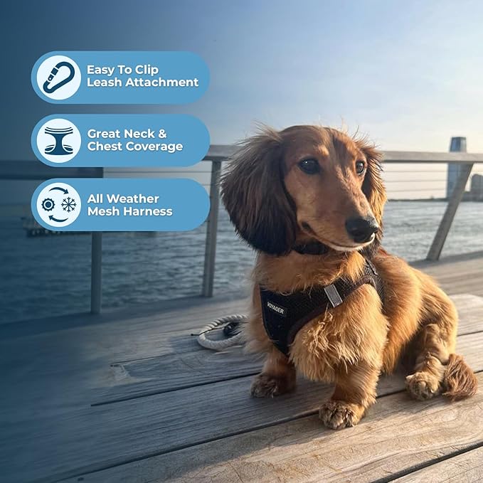 Voyager Step-In Air Dog Harness - All Weather Mesh, Reflective, No Pull Harness for Small, Medium Dogs, Cats - Secure with Hook & Loop Fastener, Buckle, Double D-Rings - Black/Black Trim, L