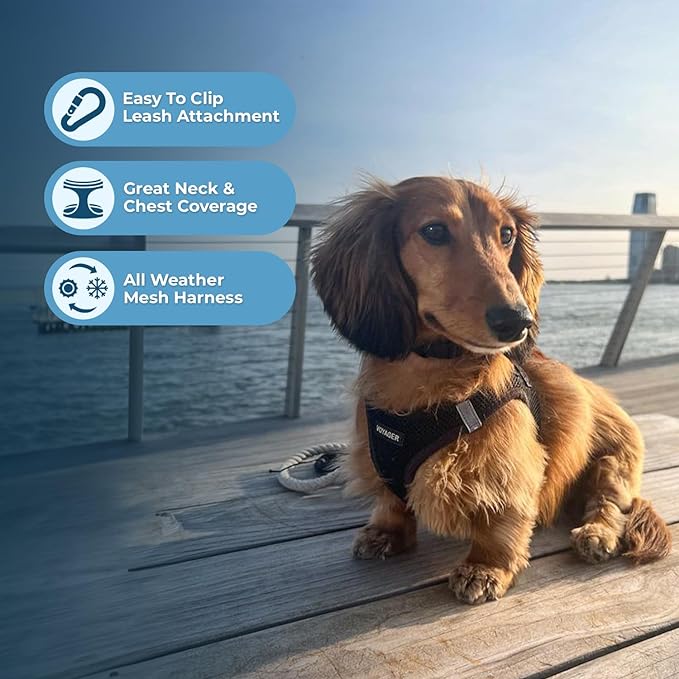 Voyager Step-in Air Dog Harness - All Weather Mesh, Reflective, No Pull Harness for Small, Medium Dogs, Cats - Secure with Hook & Loop Fastener, Buckle, Double D-Rings - Black, XXXS