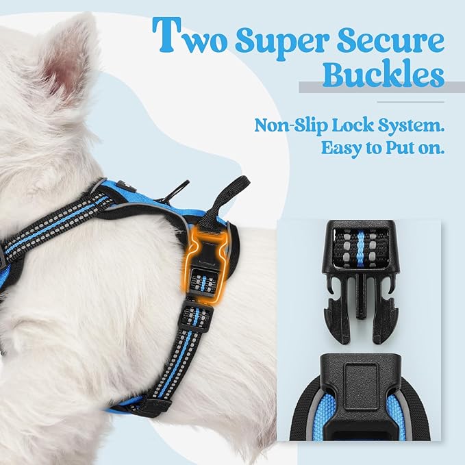 rabbitgoo Dog Harness, No-Pull Pet Harness with 2 Leash Clips, Adjustable Soft Padded Dog Vest, Reflective No-Choke Pet Oxford Vest with Easy Control Handle for Small Dogs, Blue, XS