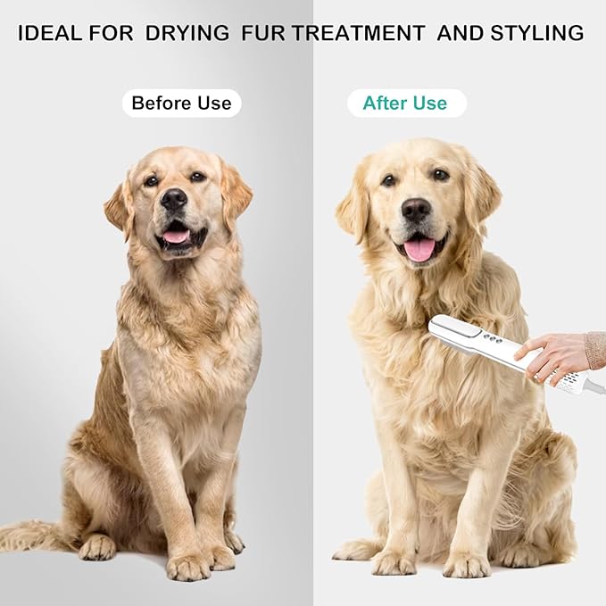 Pet Hair Dryer and Brush 2 in 1 - High and Low Temperature 3 Wind Speed Adjustment, 102000rpm Speed 800W Power Portable and Quiet for Small Medium Cats and Dogs Grooming Hair (TH201)