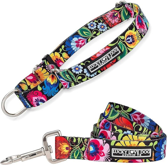 Lucky Love Dog Martingale Collar and Leash Set, Premium No Slip Collar and Leash Set, Great for Whippets, Greyhounds, and More (Blackbird, Small - Combo)