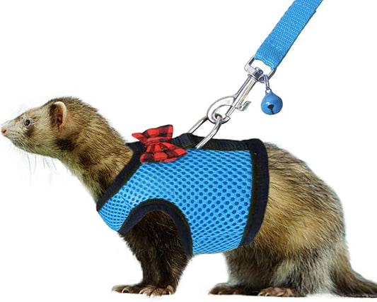 Rypet Small Animal Harness and Leash - Soft Mesh Small Pet Harness with Safe Bell, No Pull Comfort Padded Vest for Small Pet Blue S