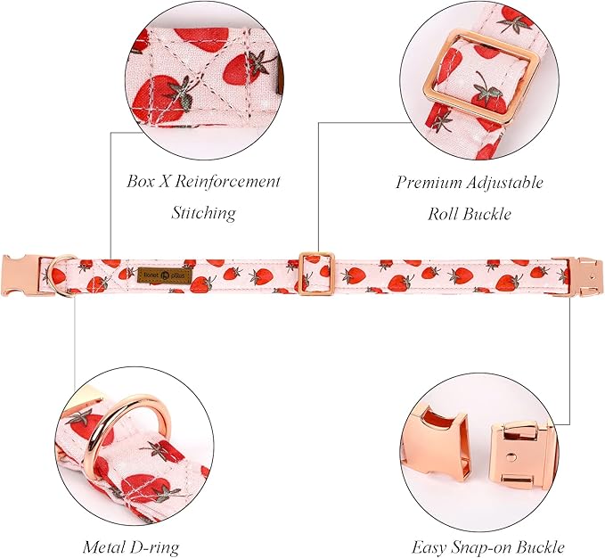 Lionet Paws Dog Collar, Comfortable Adjustable Cute Collar with Metal Buckle for Male Female Puppies and Cats Gift, Strawberry Pattern, XS, Neck 8-12 inches