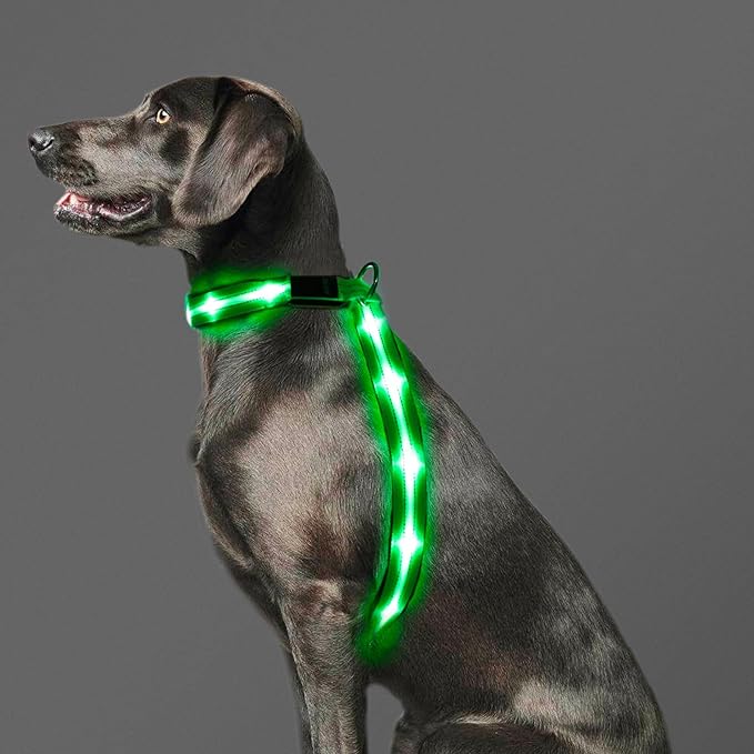 LED Light Up Dog Vest Harness Rechargeable, Soft Padded, Adjustable & Reflective Lighted Dog Harness Waterproof, Glow Dark Dog Light Harness for Camping Night Safety Walking, Large Green