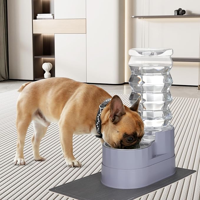 RIZZARI 8L Raised Automatic Pet Waterer, Gravity fed Stainless Steel Waterer, 100% BPA Free, Large Capacity Feeder for Cats and Medium to Large Dogs (Gray,8L)