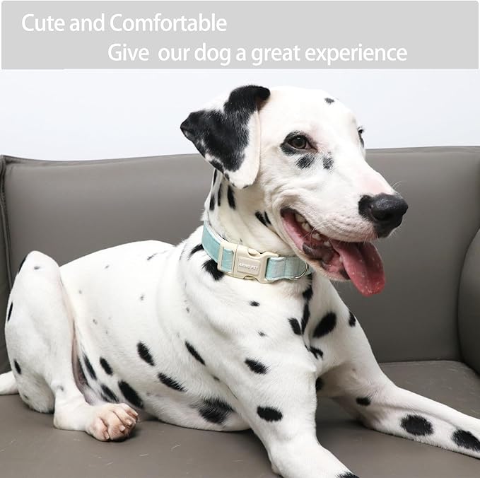 ARING PET Dog Collar-Cotton Puppy Collar for Small Dogs, Lightweight Comfortable Green Pet Collars with Quick Release Buckle for Small Medium Large Dog
