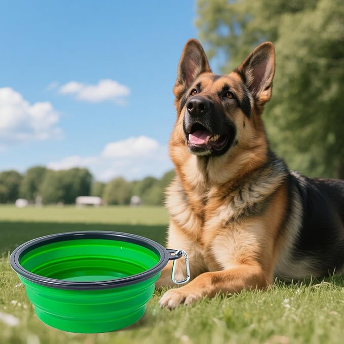 Dog Bowl Pet Collapsible Bowls, 2 Pack Collapsible Dog Water Bowls for Large Dogs Cats, Portable Pet Feeding Watering Dish for Walking Parking Traveling with 2 Carabiners (Blue+Green, Jumbo)