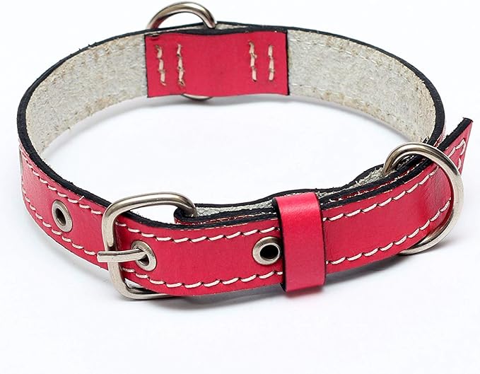 Premium Leather Collars with Stainless Steel Buckles (12"-15", Pink)