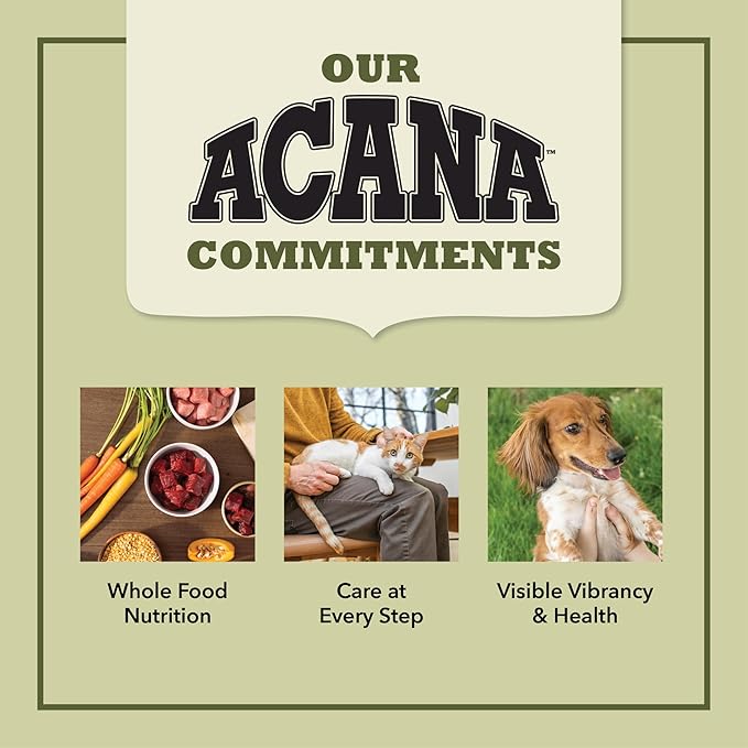 ACANA™ Classics Beef Recipe Pâté Wet Dog Food (Case of 12)