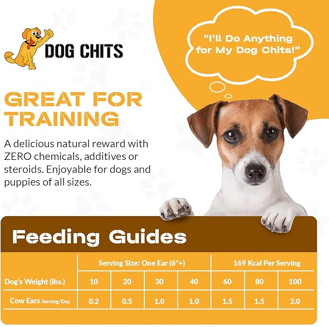 Dog Chits Cow Ears Dog and Puppy Treats - All Natural Grain and Chemical Free Training Chews - High Protein and Low Fat - Supports Dental Health - Made in The USA - 10 Count