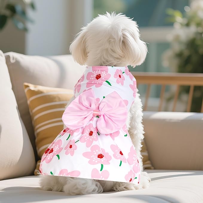 choyaxo Floral Dog Dress Cute Dog Skirt Pet Dress Summer Pet Clothes for Puppy Small Cats